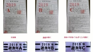 2019年球磨川水系遊漁券