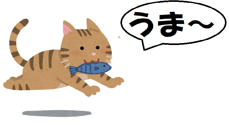 魚猫