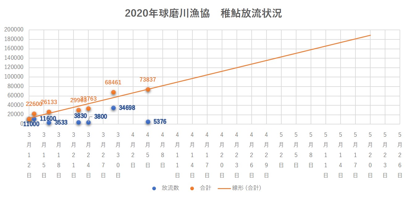 2020年球磨川漁協　稚鮎放流状況20200405