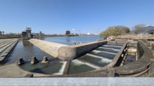 2026球磨川水系アユ放流現場